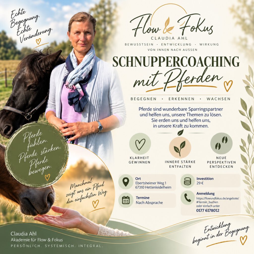 Schnuppercoaching mit Pferd