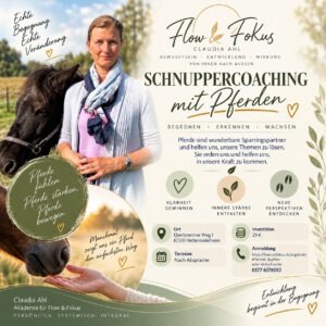 Inner Journey &ndash; Schnuppercoaching mit Pferden &ndash; Pferde f&uuml;hlen. Klarheit gewinnen. Neue Perspektiven entdecken.